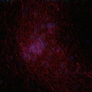 老熟女乱了伦电影
